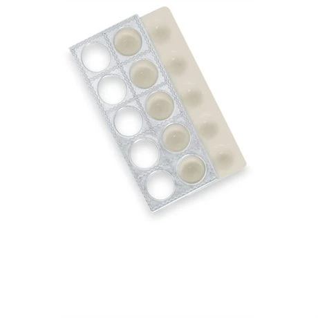 Plaque 10 Raviolis Carrés 2 Plaque 10 Raviolis Carrés – Image 2